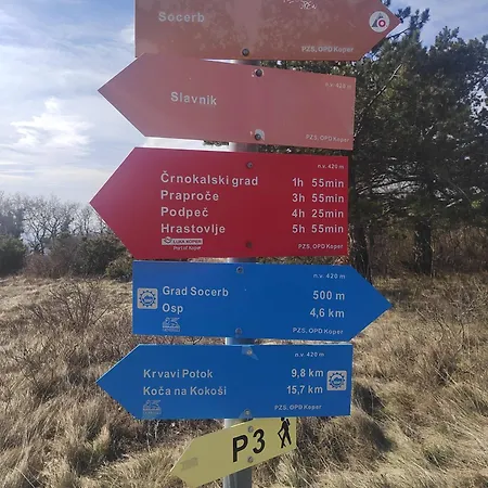 Bella Vista - Private With Sea & Castle View * Črni Kal